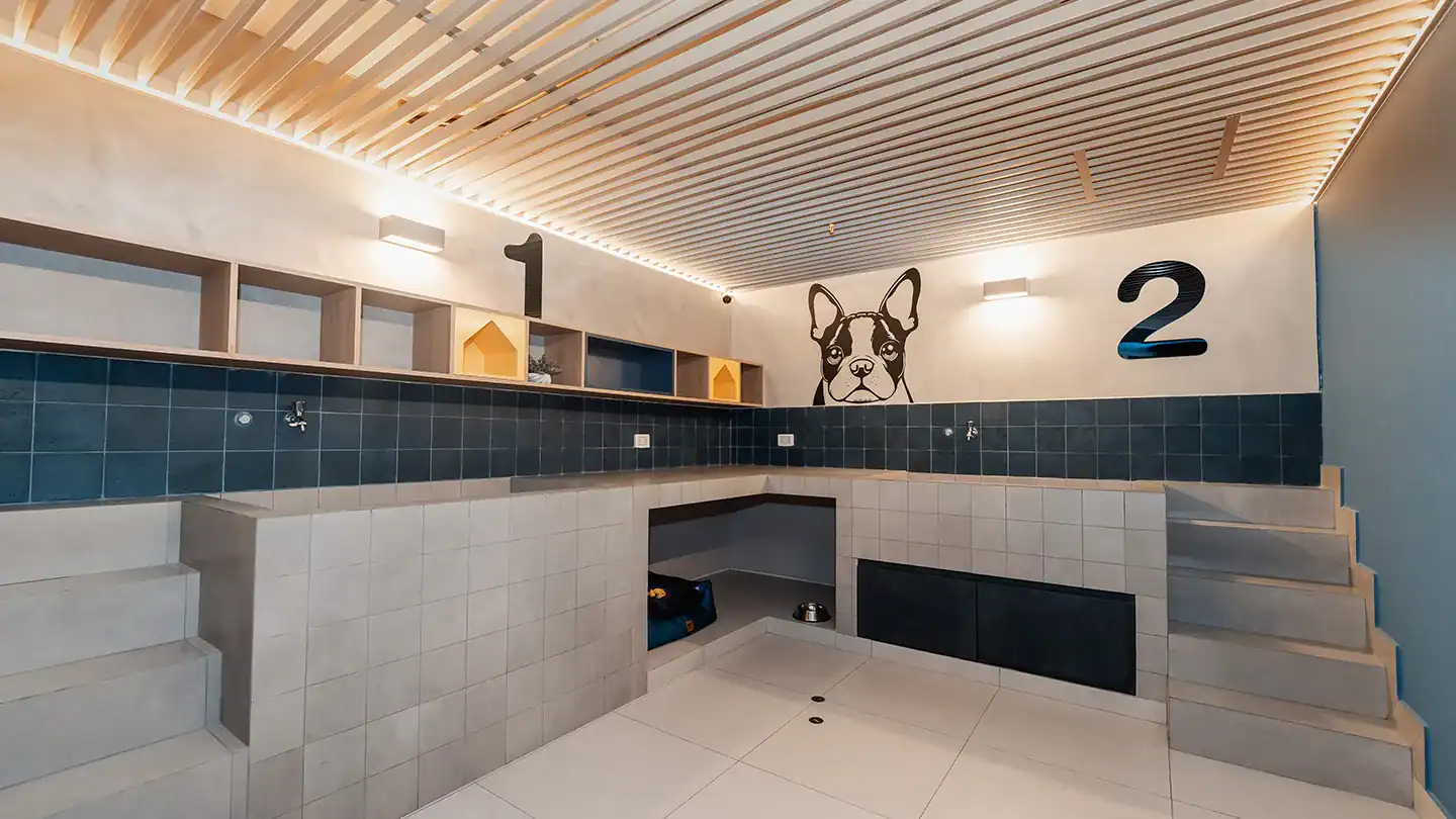 PET-SHOWER-1